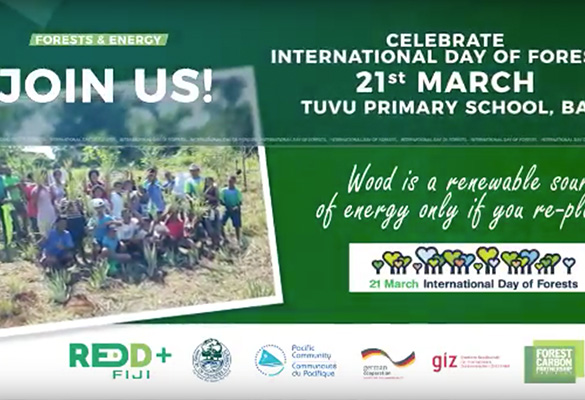 International Day of Forests 2017